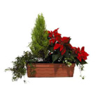Location de mobilier : location plante GRANDE JARDINIERE