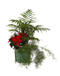 BAC CARRE : plante naturelle en location