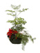 BAC ROND : plante naturelle en location