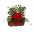 JARDINIERE : plante naturelle en location
